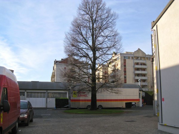 img_1909 img_1909